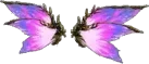 Wings of Illusion