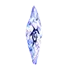 Condor Flame