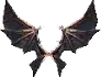 Wings of Dragon
