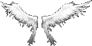 1st Wings